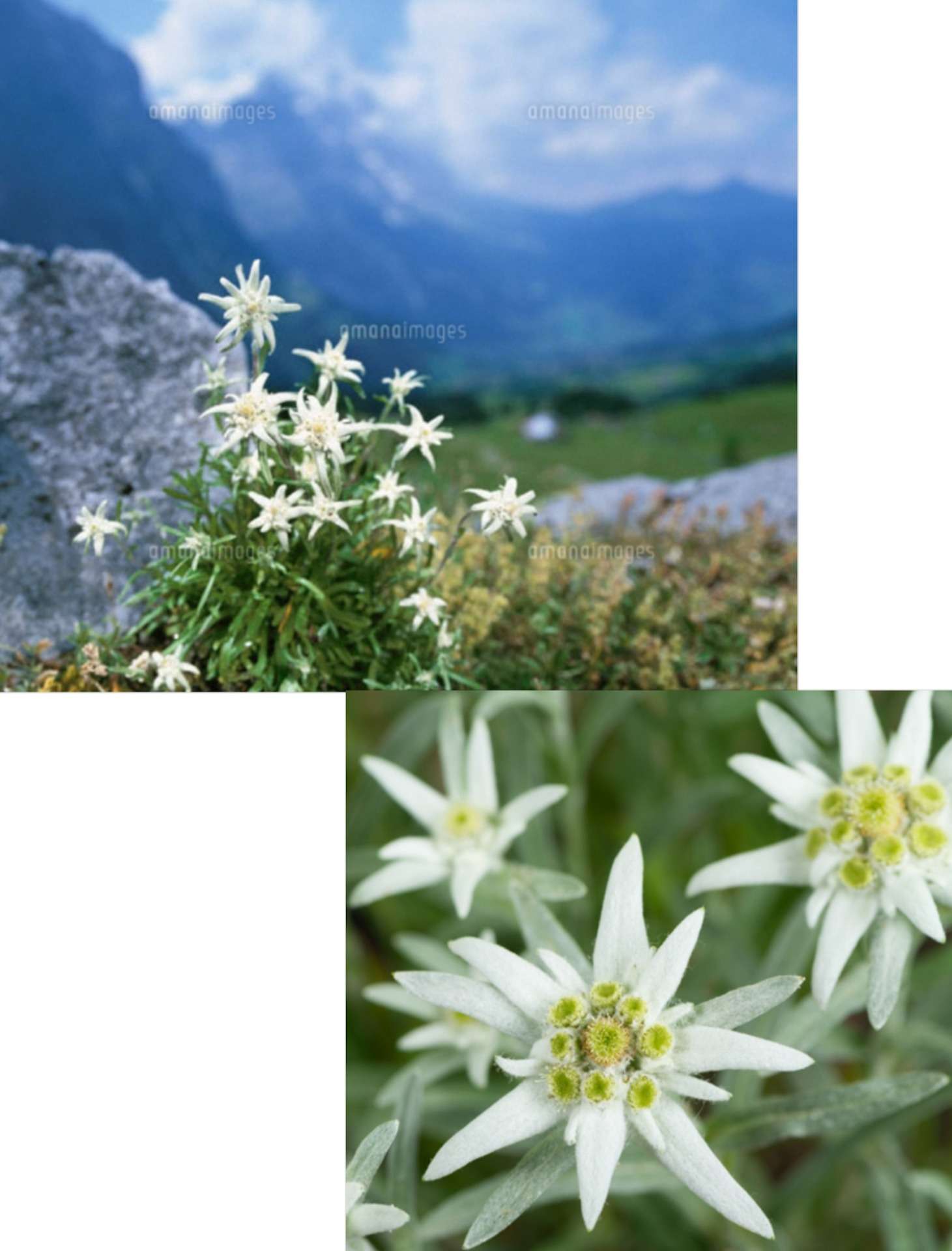 ピアノで生き生きと「富士市 ピアノ教室」